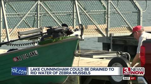 Lake Cunningham could be drained to rid water of zebra mussels
