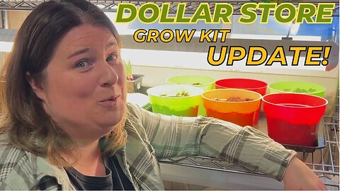 Dollar Store Grow Kit UPDATE! | Starting Seeds Indoors