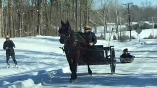 Amish-skidåkning med häst och vagn