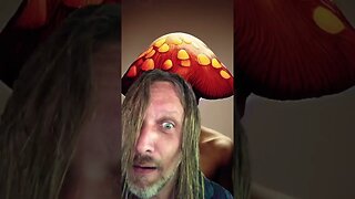 The Truth About Mushrooms