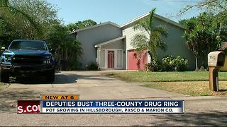 Deputies bust three-county drug ring