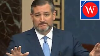 Cruz SLAMS Democrats Over Spending & Taxes