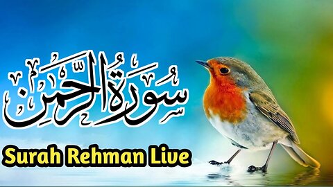 Surat Al Rahman!Surah Rahman full HD Arabic Text🕋 #allahkikitab #suratRahman #Quran#Tilawat