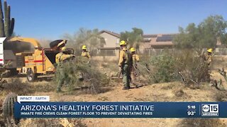 Arizona's healthy forest initiative