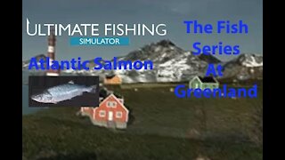 Ultimate Fishing Simulator: The Fish - Greenland - Atlantic Salmon - [00076]
