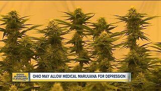 Ohio considering allowing medical marijuana for depression, 4 other conditions