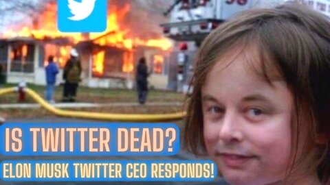 Is Twitter Dead? Elon Musk Twitter CEO Responds!