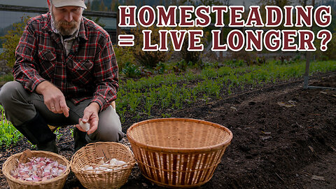 Do THIS to live Healthier and Longer Lives with Homesteading (Pantry Chat with Shelby Devore)