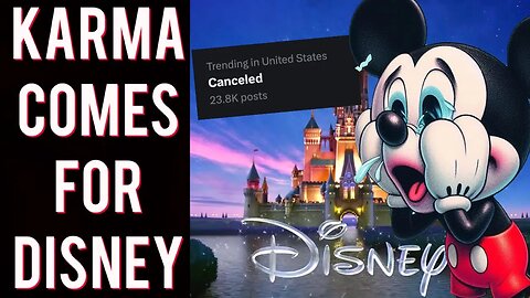 Disney BACKLASH! Thousands CANCEL Disney Plus after Elon Musk calls out CEO Bob Iger!