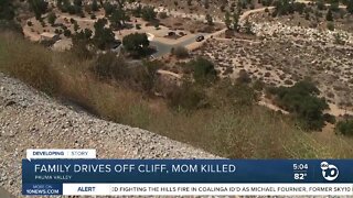 Family drives over cliff on SR -76, mom dies in crash