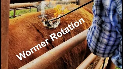 Rotating Wormer and Vaccines for Livestock (In the Chute - Round 153)
