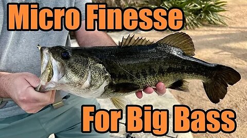Micro Finesse Fishing For Huge Bass - Nice Bluegill On A Dropshot - GIANT Snapping Turtle Footage