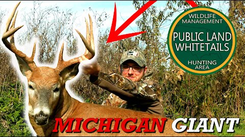 Michigan Giant Down | Nice Big Michigan Buck | Cold Front Bucks