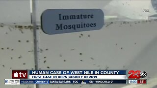 First human case of West Nile Virus reported in Kern County