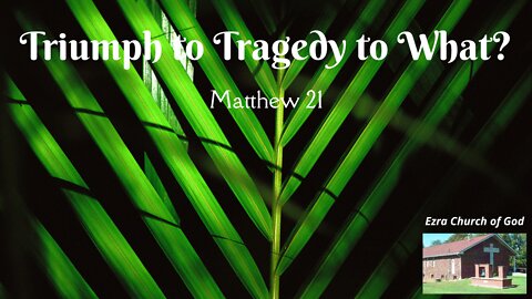 Triumph to Tragedy to What? Matthew 21