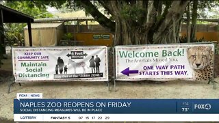 Naples Zoo reopens phase one of park on Friday