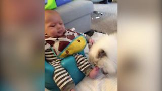 Fluffy Cat Licks Baby Boy’s Foot