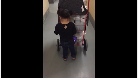 Helpful 2-Year-Old Loves To Go Shopping