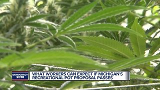 The impact of recreational marijuana in Michigan