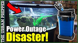 Aquarium Flooding Disaster Due To Power Outage | Stop The Siphoning!