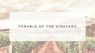 9.30.20 Wednesday Lesson - PARABLE OF THE VINEYARD