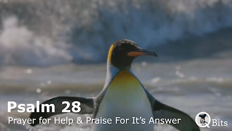 PSALM 028 // A PRAYER FOR HELP, AND PRAISE FOR ITS ANSWER