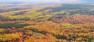 Beautiful fall colors in Maine