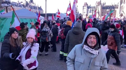 Freedom Truckers Convoy Downtown Ottawa-Live Footage Watch What's Happening!