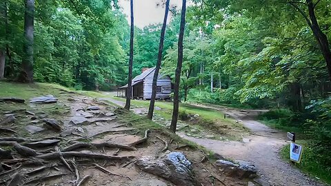 Exploring the Beauty of Roaring Fork Motor Nature Trail in Gatlinburg | Nature's Hidden Gem!