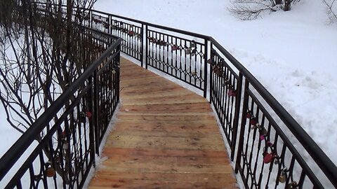Walk On The Wooden Bridge And Winter Forest