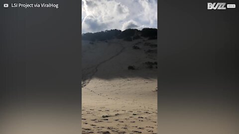 Ce jeune glisse sur une dune de sable avant de voler dans les airs et tomber à l'eau