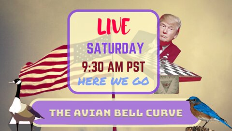 Saturday *LIVE* – The Avian Bell Curve Edition