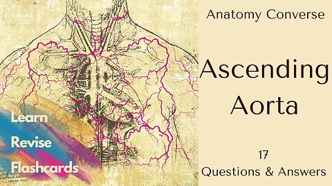 Ascending Aorta Anatomy Flashcards | 17 Questions and Answers