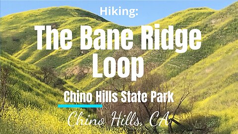 #23 Hiking The Bane Ridge Loop, Chino Hills State Park, CA