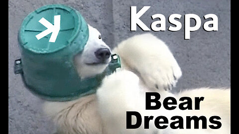 Kaspa Bear Dreams