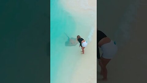 This is magical Maldives. Full video coming up #shorts #maldives #travel #vlog