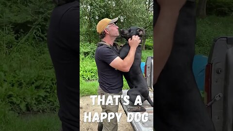 Happy Puppy Gives Hugs 🥰