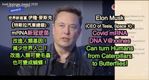 伊隆·馬斯克(世界新首富 Tesla電動車前總裁): 人工合成基因碎件mRNA(轉基因疫苗)好比軟件程式 可將人變成蝴蝶或毛蟲 Elon Musk: mRNA DNA (vaccine) could turn you into a butterfly or Caterpillar!