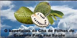 O benefícios do Chá de Folhas de Graviola Para sua Saúde