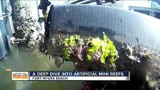Deep dive into artificial mini reefs