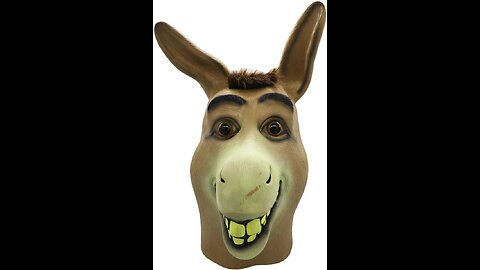 Donkey funny video