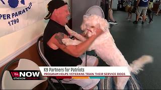 K9 partners for Patriots