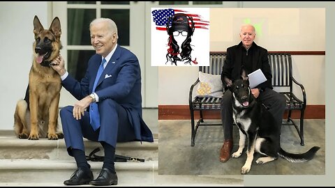 DOG Joe Biden's senile paranoid-aggression causes his dog’s to attack people. Dogs are a reflection