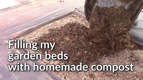 Filling my garden beds with homemade compost