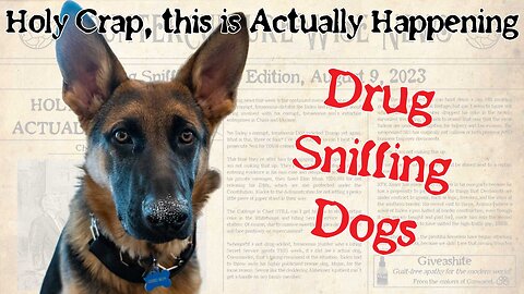 Holy Crap, This is Actually Happening — Drug Sniffing Dogs Edition, August 9, 2023