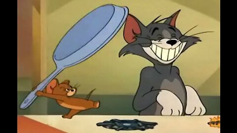 Carton Tom and jerry.. Tom stupid and Jerry's intelligence