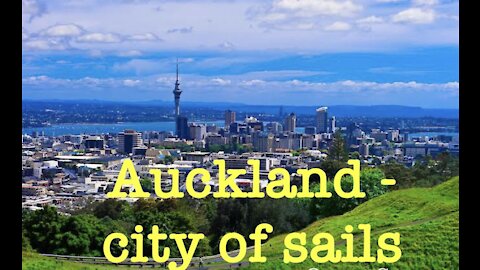 Spectacular view of Auckland city from hill