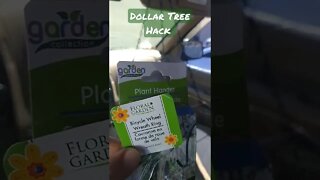 $2 Awesome Dollar Tree Hack for Hanging Jewelry Display!