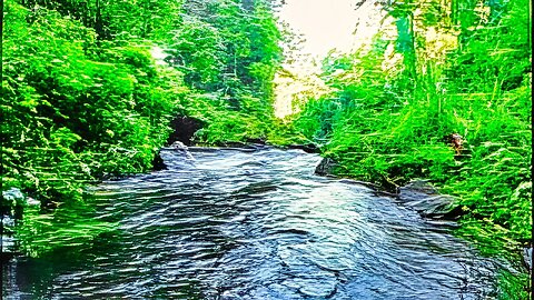 Small Tropical Forest Creek Flowing in River | Sounds for sleep and relaxation | Nature Sounds