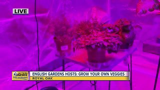 Growing Your Own Veggies
